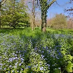 Feriehus Escapade Nature A Deux Dans Un Cosy Borde D'un Parc Arbore