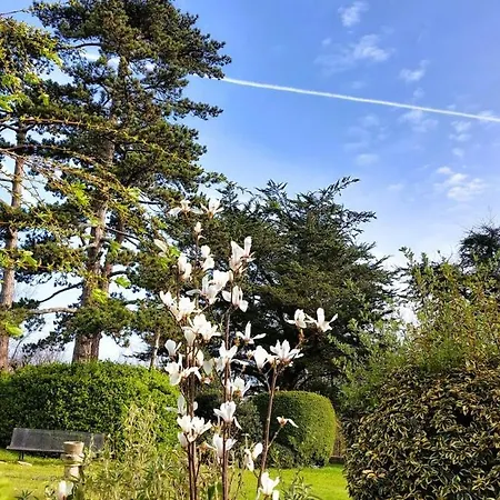 Vakantiehuis Escapade Nature A Deux Dans Un Cosy Borde D'un Parc Arbore *