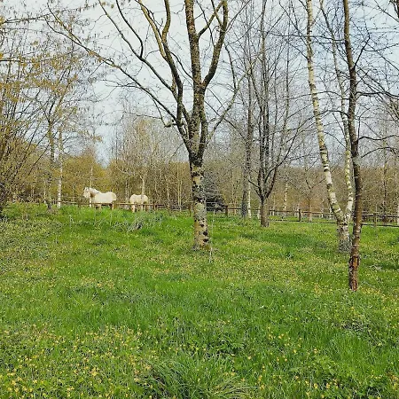 Escapade Nature A Deux Dans Un Cosy Borde D'un Parc Arbore