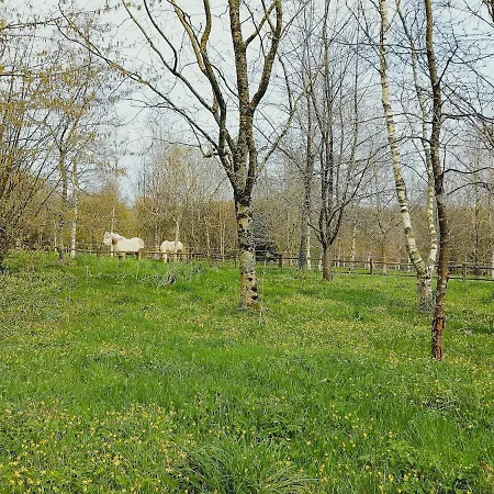 Et Equestre Dans Ancienne Laiterie Renovee
