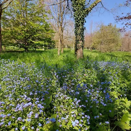 Prázdninový dům Escapade Nature A Deux Dans Un Cosy Borde D'un Parc Arbore