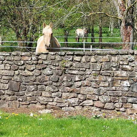 Escapade Nature A Deux Dans Un Cosy Borde D'un Parc Arbore * Saint-Sauveur-le-Vicomte