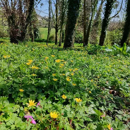 Escapade Nature A Deux Dans Un Cosy Borde D'un Parc Arbore * Saint-Sauveur-le-Vicomte