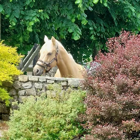 Tatil Evi Escapade Nature A Deux Dans Un Cosy Borde D'un Parc Arbore