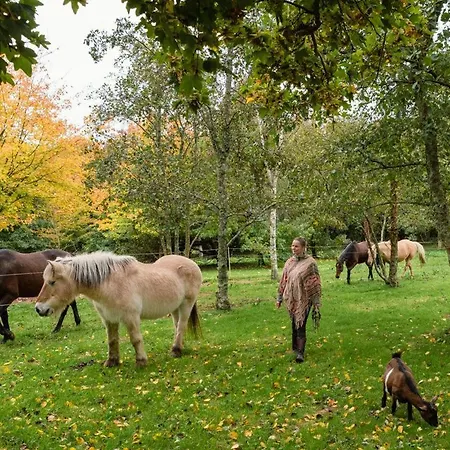 Feriehus Escapade Nature A Deux Dans Un Cosy Borde D'un Parc Arbore *