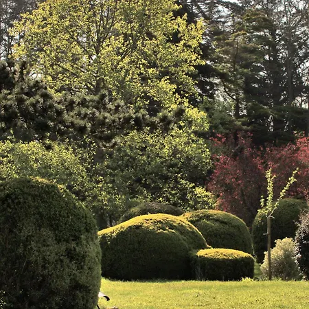 Escapade Nature A Deux Dans Un Cosy Borde D'un Parc Arbore *