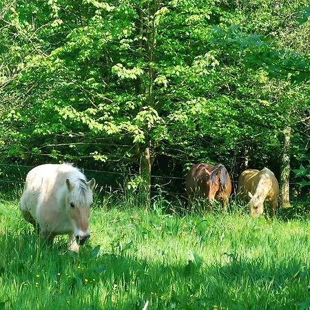 Escapade Nature A Deux Dans Un Cosy Borde D'un Parc Arbore