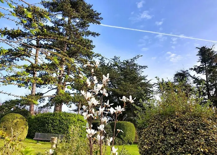 Casa de Férias Escapade Nature à Deux Dans Un Cosy Bordé D'un Parc Arboré *