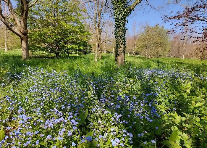 Tatil Evi Escapade Nature A Deux Dans Un Cosy Borde D'un Parc Arbore