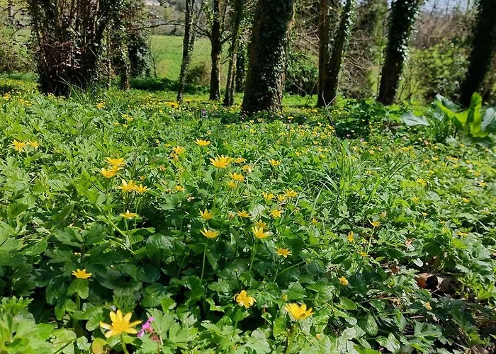 Escapade Nature à Deux Dans Un Cosy Bordé D'un Parc Arboré * Saint-Sauveur-le-Vicomte