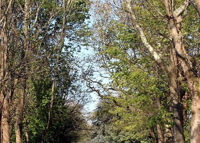 Escapade Nature A Deux Dans Un Cosy Borde D'un Parc Arbore Tatil Evi *