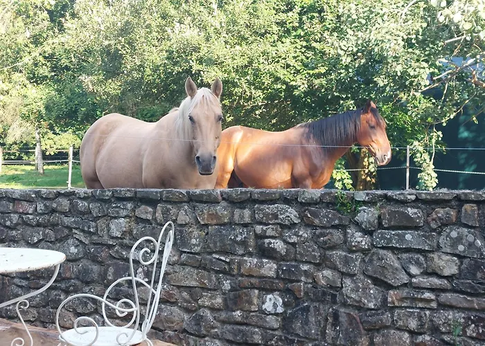 Escapade Nature à Deux Dans Un Cosy Bordé D'un Parc Arboré Saint-Sauveur-le-Vicomte