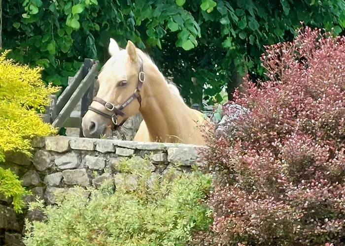 Tatil Evi Escapade Nature A Deux Dans Un Cosy Borde D'un Parc Arbore