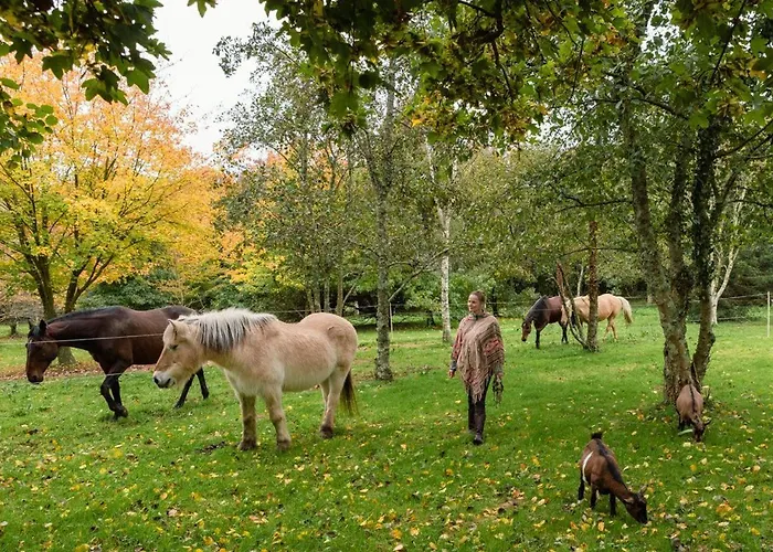 Casa de Férias Escapade Nature à Deux Dans Un Cosy Bordé D'un Parc Arboré *