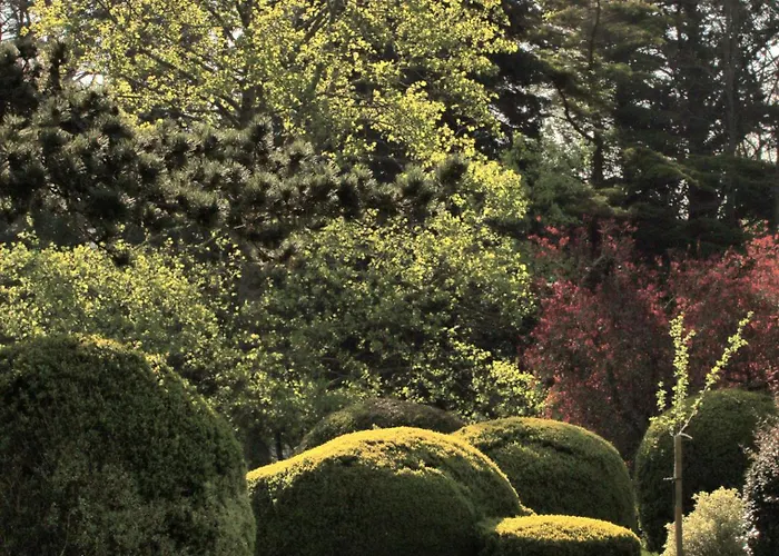 Escapade Nature à Deux Dans Un Cosy Bordé D'un Parc Arboré *